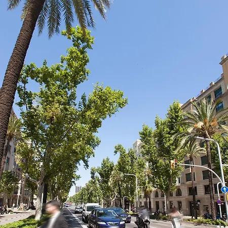Rent Avenida Diagonal